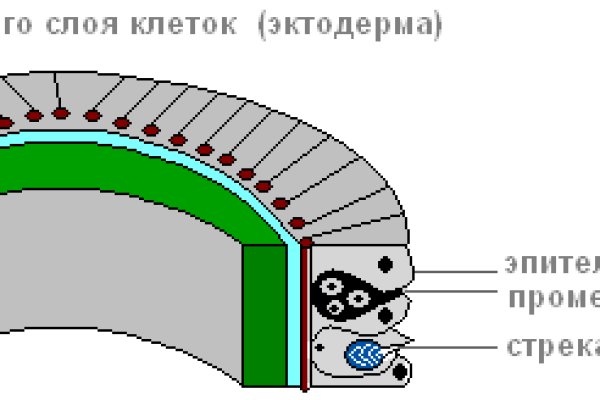 Блекспрут com