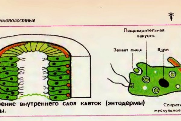 Тор blacksprut blacksprut cam bs2web top